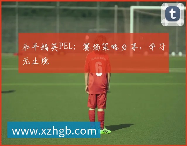 和平精英PEL：赛场策略分享，学习无止境